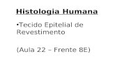 Histologia Humana Tecido Epitelial de Revestimento (Aula 22 – Frente 8E)