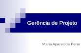 Gerência de Projeto Maria Aparecida Perre. Objetivo de Aprendizado Assimilar os conceitos fundamentais aplicados em Gerenciamento de Projetos; Compreender.