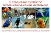 III SEMINÁRIO CIENTÍFICO REPRODUÇÃO EM ANIMAIS VERTEBRADOS CHRISTIANE ORTEGA, GRAZIELA BONETTI E ROGÉRIA G. RIGAMONTI.