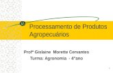 1 Processamento de Produtos Agropecuários Profª Gislaine Morette Cervantes Turma: Agronomia - 4°ano.