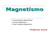 Magnetismo Propriedades Magnéticas Propriedades Magnéticas Campo Magnético Campo Magnético Vetor Indução Magnética Vetor Indução Magnética Professor André.