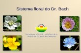 Sistema floral do Dr. Bach. Ponto de partida Dr. Edward Bach (1886-1936) é o criador do sistema floral com o seu nome, que propõe: 1)Bases filosóficas.
