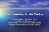 Representação de Dados Universidade Federal do Pará Faculdade de Computação Bacharelado em Ciência da Computação Fundamentos de Comunicação Digital.