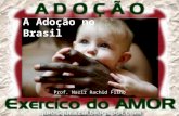 A Adoção no Brasil Prof. Nazir Rachid Filho. A história legal da adoção no Brasil nos remete ao início do século XX. O assunto é tratado, pela primeira.