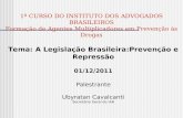 Tema: A Legislação Brasileira:Prevenção e Repressão 01/12/2011 Palestrante Ubyratan Cavalcanti Secretário Geral do IAB 1º CURSO DO INSTITUTO DOS ADVOGADOS.
