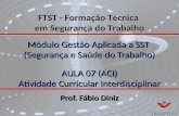 Módulo Gestão Aplicada a SST (Segurança e Saúde do Trabalho) AULA 07 (ACI) Atividade Curricular Interdisciplinar Prof. Fábio Diniz FTST - Formação Técnica.