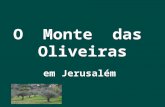 O Monte das Oliveiras é uma colina que está associada às religiões judaica e cristã. Da época bíblica até hoje, os judeus (150.000 túmulos) foram enterrados.