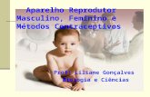 Aparelho Reprodutor Masculino, Feminino e Métodos Contraceptivos Prof: Liliane Gonçalves Biologia e Ciências.