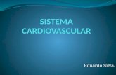 Eduardo Silva.. O Sistema Cardiovascular pode ser divido da seguinte forma: (1) coração, considerado como uma bomba muscular; (2) circuito pulmonar, que.