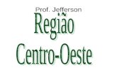 Prof. Jefferson. Características Naturais Relevo – Predomina os planaltos e depressões com ocorrência de serras, chapadas e a planície do pantanal.