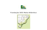 Fundação SOS Mata Atlântica. A Mata Atlântica A Mata Atlântica está presente tanto na região litorânea como nos planaltos e serras do interior, do Rio.