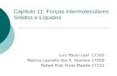Capítulo 11: Forças intermoleculares Sólidos e Líquidos Luiz Paulo Leal 17105 Marcos Leandro dos R. Dionísio 17059 Rafael Kioji Vivas Maeda 17122.
