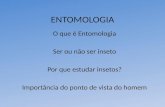 ENTOMOLOGIA O que é Entomologia Ser ou não ser inseto Por que estudar insetos? Importância do ponto de vista do homem.