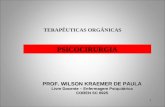1 PSICOCIRURGIA PROF. WILSON KRAEMER DE PAULA Livre Docente – Enfermagem Psiquiátrica COREN SC 6925 TERAPÊUTICAS ORGÂNICAS.