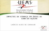 Logo da Instituição Titulo da Palestra(alterar no slide mestre) IMPACTOS DA VINHAÇA EM ÁREAS DE CANA-DE-AÇÚCAR LAÉRCIO ALVES DE CARVALHO.