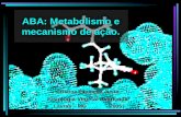 ABA: Metabolismo e mecanismo de ação. Cristina Filomena Justo Fisiologia Vegetal Avançada Lavras – MG 2005.