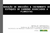 REDUÇÃO DE EMISSÕES & INCREMENTO DE ESTOQUES DE CARBONO ASSOCIADOS A FLORESTAS NATALIE UNTERSTELL Gerência de Clima & Florestas/REDDplus Secretaria de.