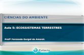 CIÊNCIAS DO AMBIENTE Profº Fernando Gurgel do Amaral. Aula 5: ECOSSISTEMAS TERRESTRES.