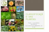 CLASSIFICAÇÃO DAS PLANTAS Prof. Lucivânio Oliveira lucivaniosilva@yahoo.com.br.