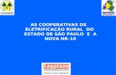 AS COOPERATIVAS DE ELETRIFICAÇÃO RURAL DO ESTADO DE SÃO PAULO E A NOVA NR-10.