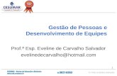 1 Gestão de Pessoas e Desenvolvimento de Equipes Prof.ª Esp. Eveline de Carvalho Salvador evelinedecarvalho@hotmail.com.