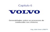 Generalidades sobre os processos de combustão nos motores Eng. Julio Cesar LODETTI Capitulo 6.