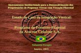 Instrumentos Institucionais para o Desenvolvimento dos Proprietários de Pequenas Terras com Vocação Florestal Estudo de Caso de Integração Vertical: Programa.