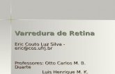 Eric Couto Luz Silva - eric@cos.ufrj.br Professores: Otto Carlos M. B. Duarte Luis Henrique M. K. Costa Luis Henrique M. K. Costa Varredura de Retina.