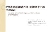 Processamento perceptivo visual: função, principais tipos, alterações e orientações Carolina Feng Uei Hun Fabiane Aquino Lourenço de Araujo Gabriela de.