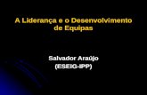 A Liderança e o Desenvolvimento de Equipas Salvador Araújo (ESEIG-IPP)