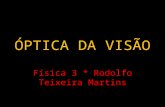 ÓPTICA DA VISÃO Física 3 * Rodolfo Teixeira Martins.