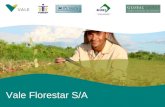 0 Vale Florestar S/A. 1 Florestas Plantadas - Oportunidades de Crescimento no Brasil Distribuição de florestas comerciais no mundo Fonte: Silviconsult.