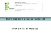 Introdução à análise Vetorial Prof. Luis S. B. Marques MINISTÉRIO DA EDUCAÇÃO SECRETARIA DE EDUCAÇÃO PROFISSIONAL E TECNOLÓGICA INSTITUTO FEDERAL DE EDUCAÇÃO,