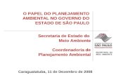 SECRETARIA DO MEIO AMBIENTE Secretaria de Estado do Meio Ambiente Coordenadoria de Planejamento Ambiental Caraguatatuba, 11 de Dezembro de 2008 O PAPEL.
