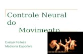 Controle Neural do Movimento Evelyn Feitoza Medicina Esportiva.