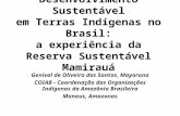 Desenvolvimento Sustentável em Terras Indígenas no Brasil: a experiência da Reserva Sustentável Mamirauá Genival de Oliveira dos Santos, Mayoruna COIAB.