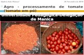 Djabrú João Manuel 20 Novembro de 2014  Agro - processamento de tomate (tomate em pó) Instituição coordenadora: Universidade Pedagógica-Delegação de Manica.
