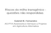 Riscos do milho transgênico - questões não respondidas Gabriel B. Fernandes AS-PTA Assessoria e Serviços a Projetos em Agricultura Alternativa.