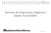 Normas de Segurança, Higiene e Saúde no trabalho ANO LECTIVO 2010-2011.
