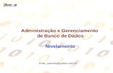 Profa_samaris@yahoo.com.br Administração e Gerenciamento de Banco de Dados Nivelamento.
