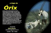 a Saga do Órix O órix, o único animal incluído na lista de Patrimônios da Humanidade, da Unesco, foi extinto oficialmente em 1972, quando o último rebanho.