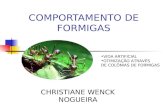 COMPORTAMENTO DE FORMIGAS CHRISTIANE WENCK NOGUEIRA VIDA ARTIFICIAL OTIMIZAÇÃO ATRAVÉS DE COLÔNIAS DE FORMIGAS.