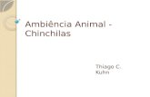 Ambiência Animal - Chinchilas Thiago C. Kuhn. Introdução: Reino: Animalia Filo: Chordata Classe: Mammalia Ordem: Rodentia Família: Chinchillidae Genero: