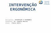 Sistema Tigre de Produção INTERVENÇÃO ERGONÔMICA Disciplina: INTRODUÇÃO A ERGONOMIA Professor: Dr. Eugenio Merino Aluno: Flávio Belli.