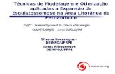 Técnicas de Modelagem e Otimização aplicadas a Expansão da Esquistossomose na Área Litorânea de Pernambuco Silvana Bocanegra – DEINFO/UFRPE Jones Albuqueque.