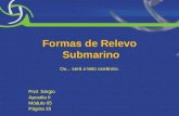 Formas de Relevo Submarino Ou... será o leito oceânico. Prof. Sérgio Apostila II Módulo 05 Página 35.