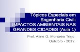 Tópicos Especiais em Engenharia Civil: IMPACTOS AMBIENTAIS NAS GRANDES CIDADES (Aula 1) Prof. Aline G. Monteiro Trigo Outubro - 2012.