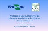 Proteção e uso sustentável de paisagens dos biomas brasileiros: Projetos Biomas GUSTAVO RIBAS CURCIO PESQUISADOR EMBRAPA FLORESTAS.