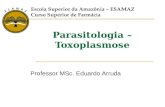 Parasitologia – Toxoplasmose Professor MSc. Eduardo Arruda Escola Superior da Amazônia – ESAMAZ Curso Superior de Farmácia.