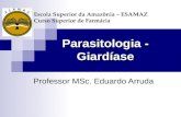 Parasitologia - Giardíase Professor MSc. Eduardo Arruda Escola Superior da Amazônia – ESAMAZ Curso Superior de Farmácia.